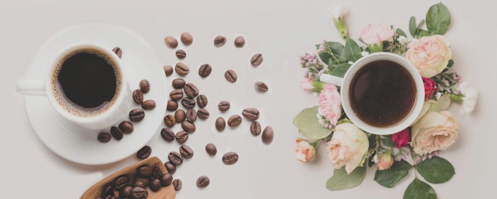 diferencias-teina-cafeina