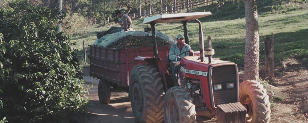 creando-recuerdos-desde-1986